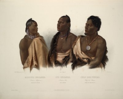 Missouri Indian, Oto Indian, and Chief of the Puncas by Karl Bodmer